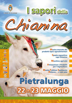 chianina-2010