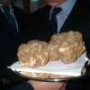 Mostra del Tartufo