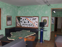 museo-ornitologico-3